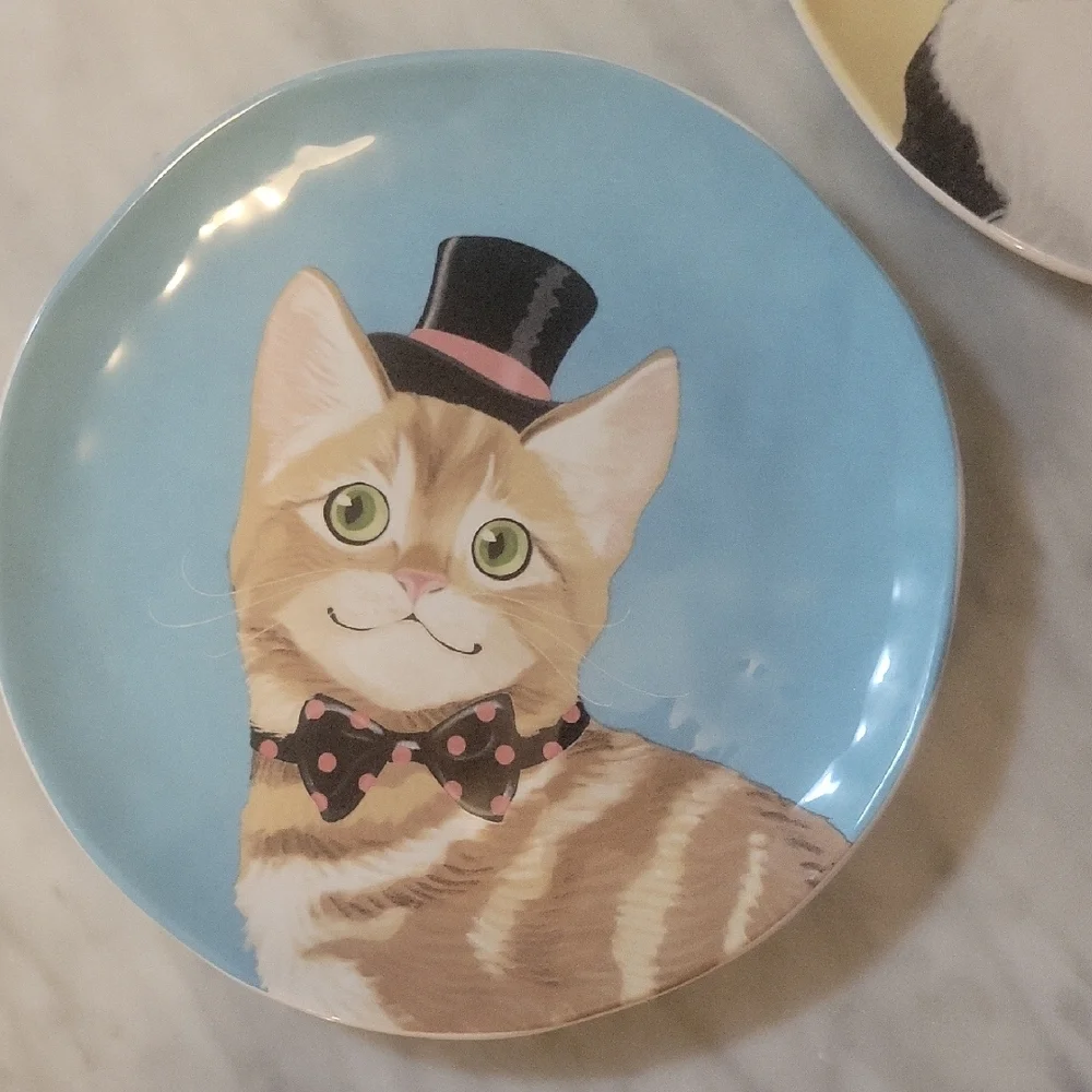 Pier 1 Set Of 3 Ironstone Party Cat Salad Plates